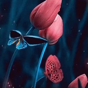 Meet your Posher, Veronica